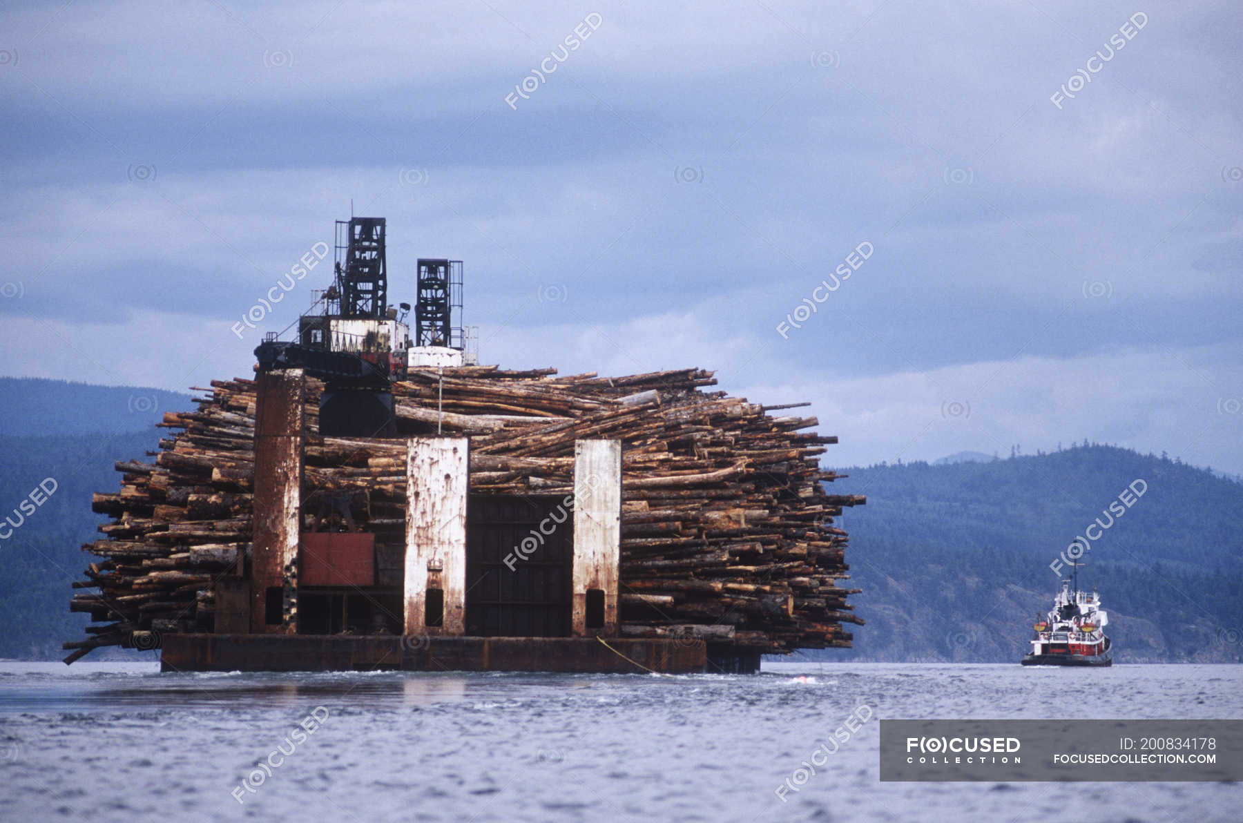 Log barge with load of logs and boat, British Columbia, Canada
