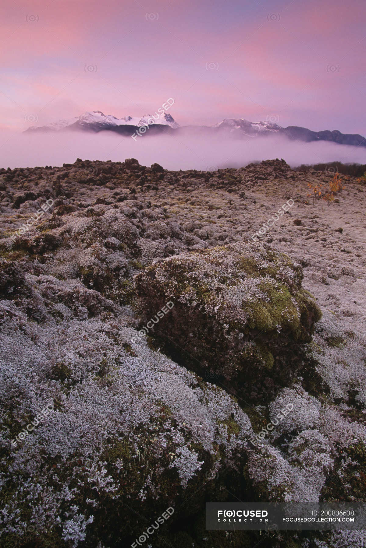 Nisgaa Memorial Lava Bed Provincial Park with lichenencrusted rocks at