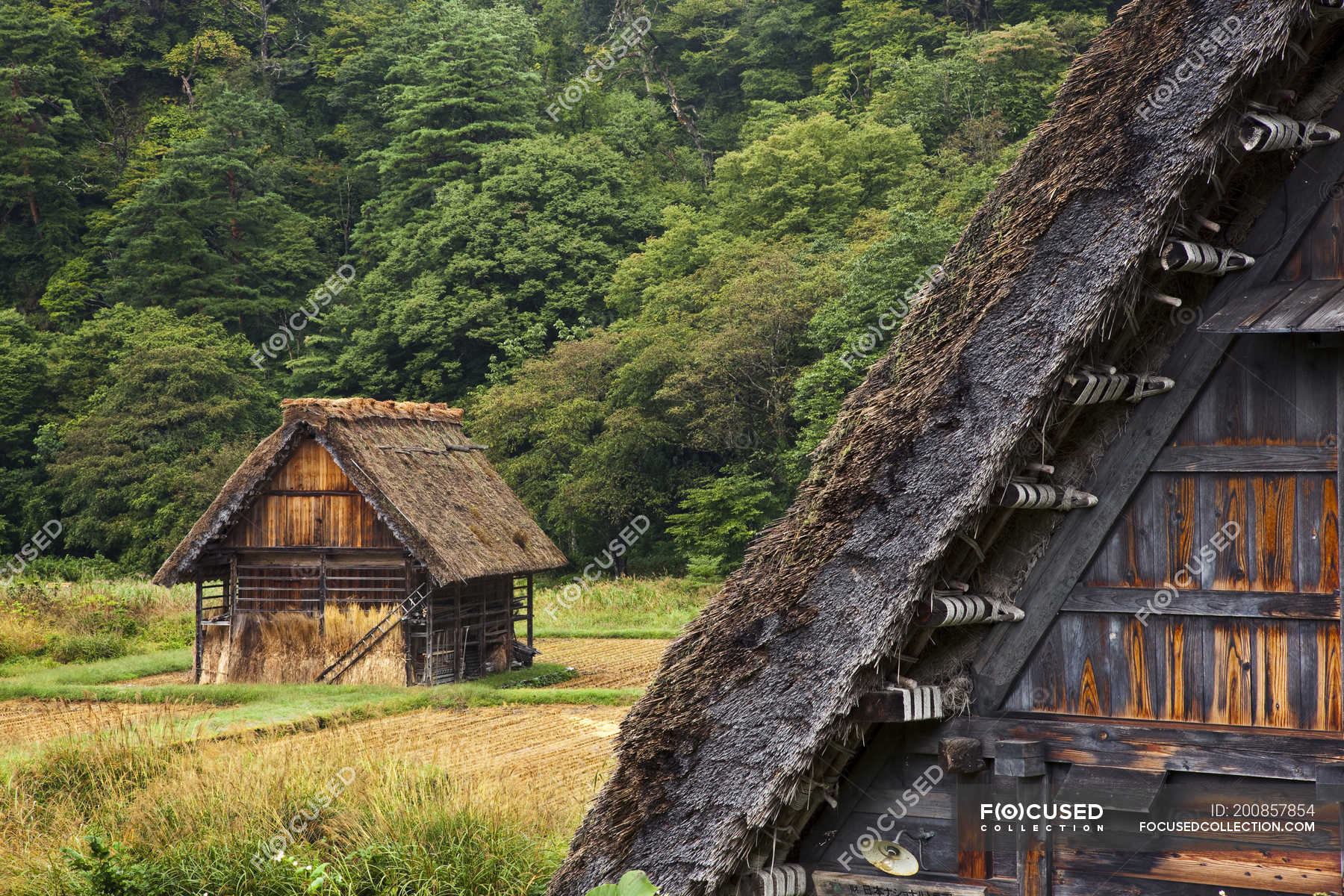 Historic village of Shirakawa with minka farmhouses in