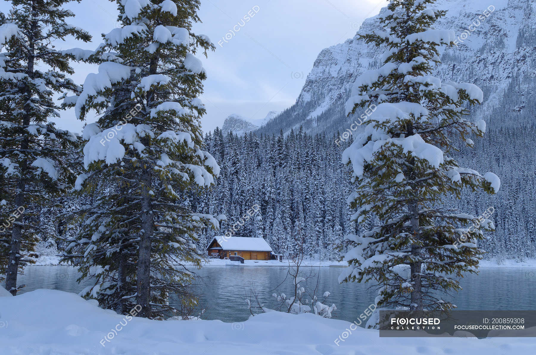 Cabin At Lake Louise In Winter Banff National Park Alberta