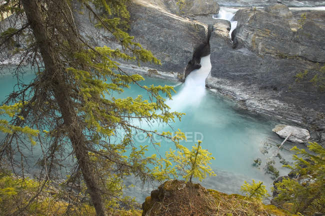 Vue en angle élevé de la rivière Kicking Horse au pont naturel, parc national Yoho, Colombie-Britannique, Canada — Photo de stock