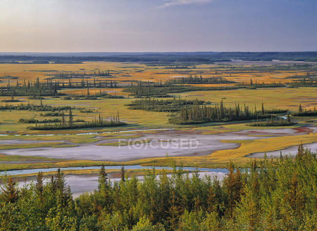 Luftaufnahme der Salinen des Waldbüffel-Nationalparks, Nordwest-Territorien, Kanada. — Stockfoto