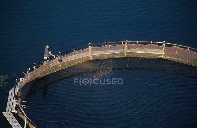 Aerial view of worker of fish farm, Grand Manan island, New Brunswick, Canada. — Stock Photo