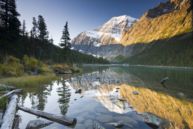 Mount Edith Cavell riflette a Cavell Lake nel Jasper National Park, Alberta, Canada . — Foto stock