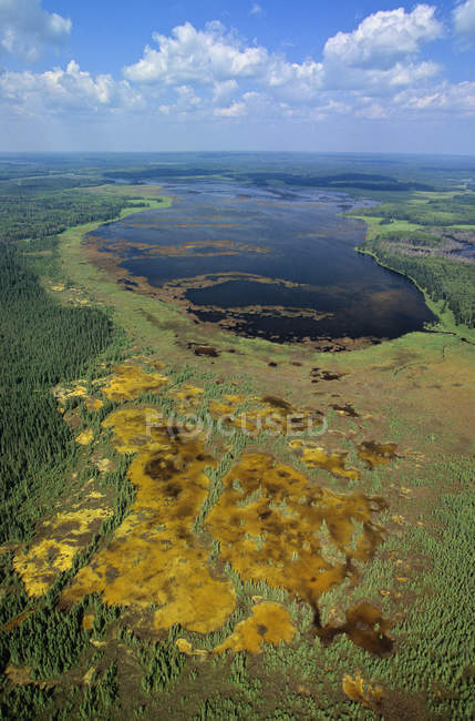 Aerial view of swamp and forest in Riding Mountain Park, Manitoba, Canada. — Stock Photo