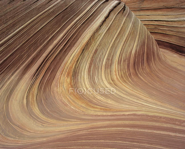 Slickrock natural pattern of Coyote Buttes, Utah — Stock Photo