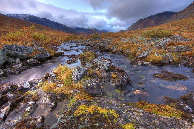 Wasser des steinigen Klondike-Flusses fließt in die Wiese des Grabsteinparks, Yukon, Kanada — Stockfoto