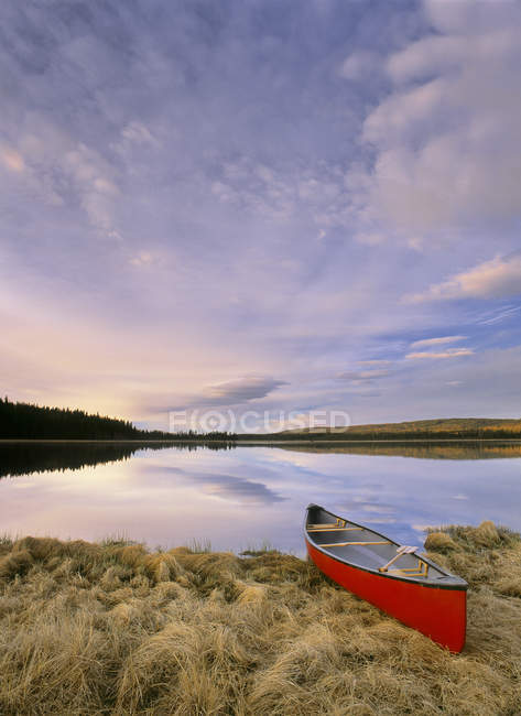 Canoa amarrada en la costa cubierta de hierba del lago Boggy, Alberta, Canadá . - foto de stock