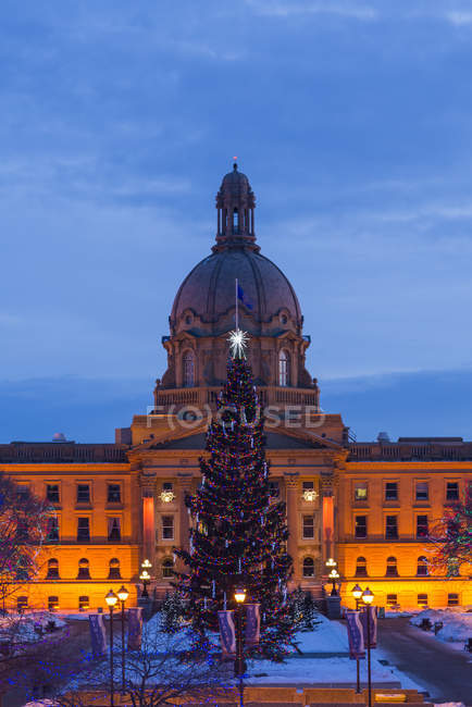 Здание Законодательного собрания Альберты с рождественской елкой и огнями, Эдмонтон, Альберта, Канада — стоковое фото