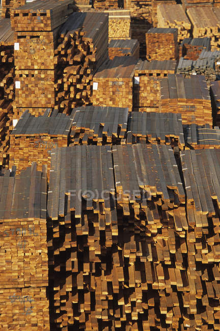 Stacked wood drying in lumber yard of lumber mill. — Stock Photo
