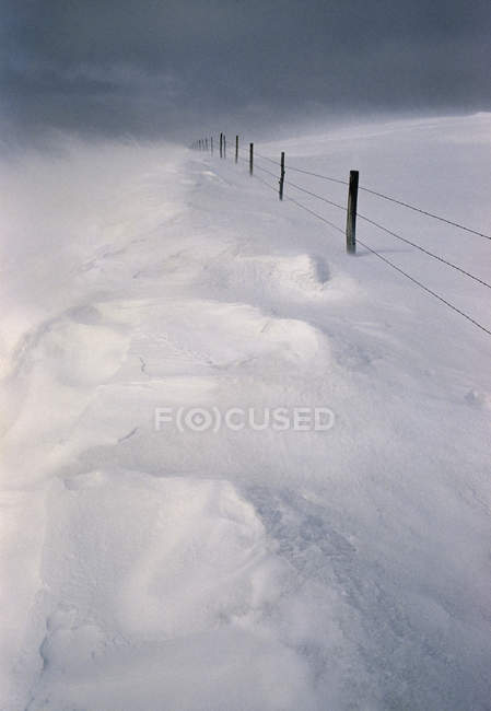 Сельские зимние пейзажи с забором возле Элкуотер, Альберта, Канада — стоковое фото