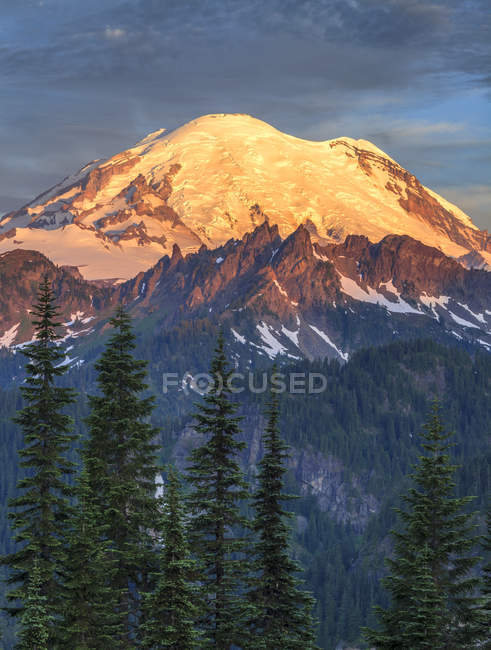 Lumière du soleil illuminant le mont Rainier au lever du soleil dans le parc national du mont Rainier, Washington, États-Unis — Photo de stock