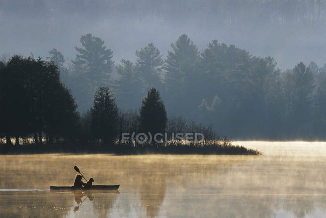 Silhouetten von Frau und Hund Kajakfahren in den frühen Morgenstunden, Ochsenzungensee, Muskoka, Ontario, Kanada. — Stockfoto