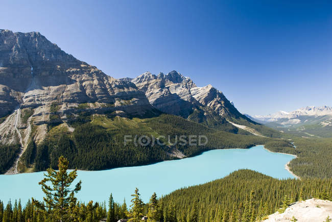 Paisaje de montaña con agua turquesa del lago Peyto, Parque Nacional Banff, Alberta, Canadá - foto de stock