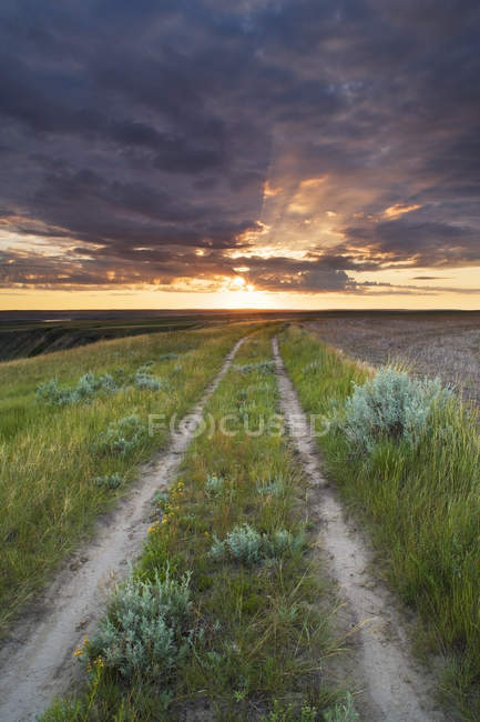 Estrada rural e nascer do sol em pastagens ao longo do rio Saskatchewan do Sul perto de Leader, Saskatchewan, Canadá — Fotografia de Stock