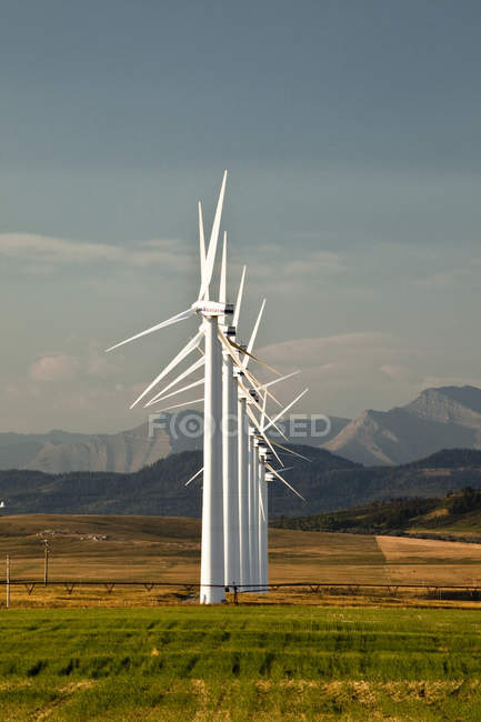 Molinos de viento generadores de energía en el prado de Pincher Creek, Alberta, Canadá . - foto de stock
