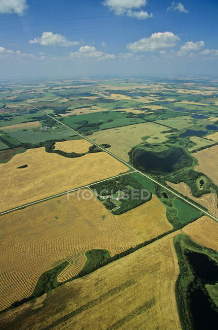 Padrão natural dos campos agrícolas em Manitoba, Canadá . — Fotografia de Stock