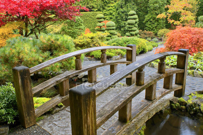 Ponte pequena sobre o córrego no jardim japonês outonal, jardins de Butchart, baía de Brentwood, colúmbia britânica, Canadá — Fotografia de Stock