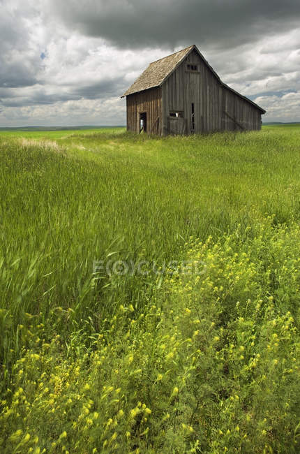 Edifício rústico velho da fazenda perto do líder, Saskatchewan, Canadá — Fotografia de Stock