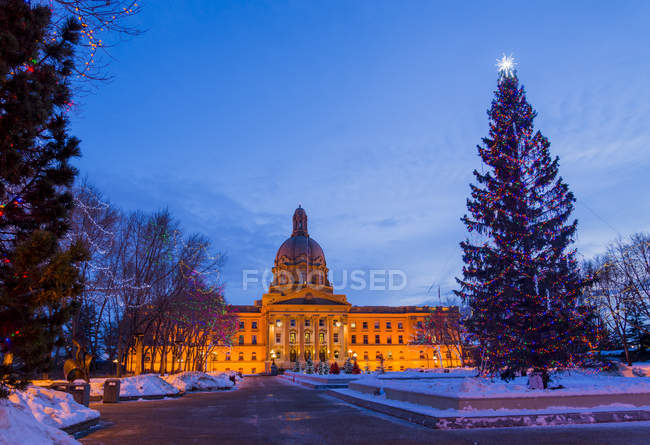 Édifice de l'Assemblée législative de l'Alberta avec arbre de Noël et lumières, Edmonton, Alberta, Canada — Photo de stock