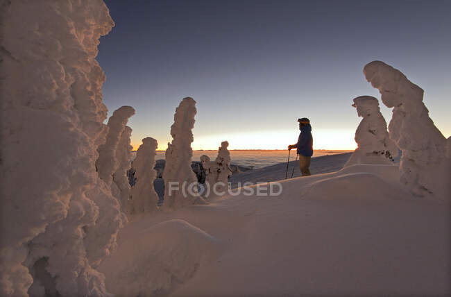 Um esquiador entre fantasmas de neve criar um ambiente bonito antes do nascer do sol no topo do Sun Peaks Resort, Thompson Okangan região, British Columbia, Canadá — Fotografia de Stock