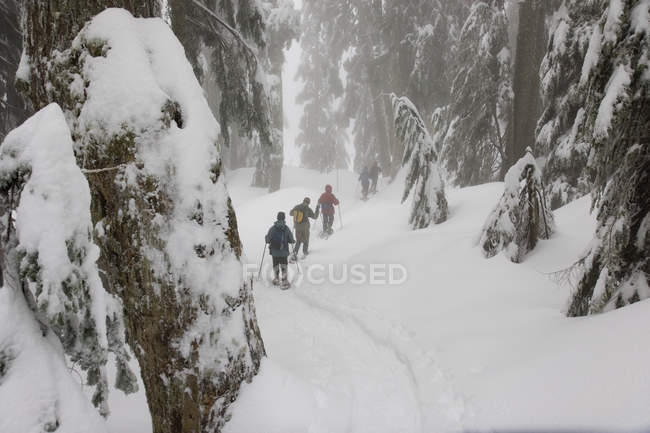 Gente haciendo raquetas de nieve en las montañas del Parque Provincial Mount Seymour, Vancouver, Columbia Británica, Canadá - foto de stock