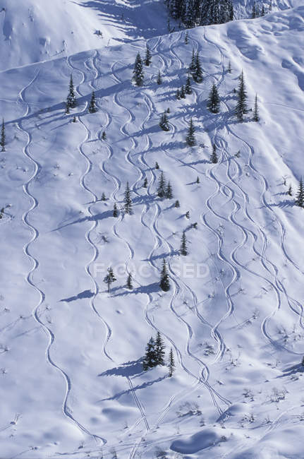 Vista aérea de pistas de esquí en pista nevada en Rogers Pass, Glacier National Park, Columbia Británica, Canadá - foto de stock