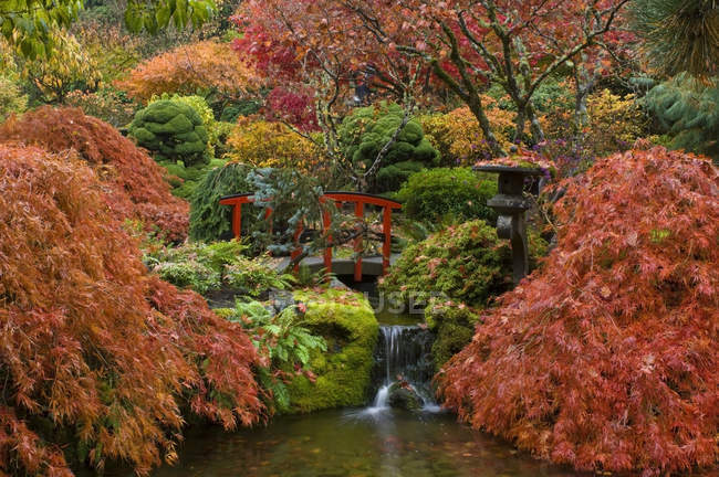 Fogliame e ruscello autunnale nel giardino giapponese, Butchart Gardens, Brentwood Bay, Columbia Britannica, Canada — Foto stock