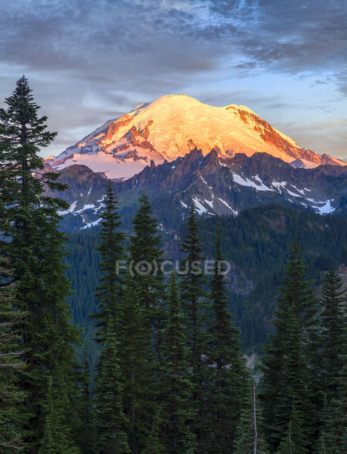 Mount Rainier ao nascer do sol no Parque Nacional Mount Rainier, Washington, EUA — Fotografia de Stock