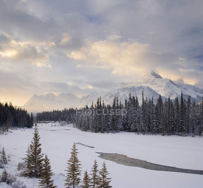 Monte Fryatt y el río Athabasca en el Parque Nacional Jasper, Alberta, Canadá . - foto de stock
