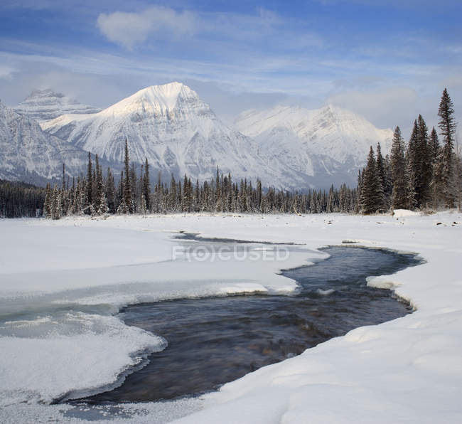 Cubierto de nieve Monte Fryatt y congelado Río Athabasca, Parque Nacional Jasper, Alberta, Canadá
. - foto de stock