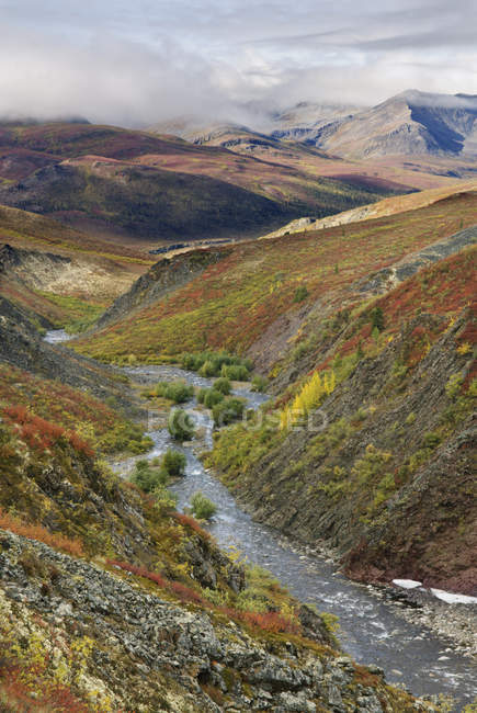 Ruisseau de montagne dans le parc territorial Tombstone brumeux, Territoire du Yukon, Canada — Photo de stock