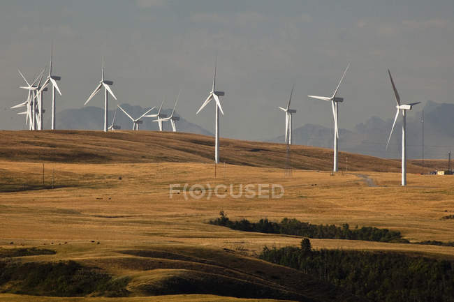 Molinos de viento generadores de energía cerca de Pincher Creek, Alberta, Canadá . - foto de stock