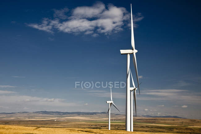 Moinhos de vento geradores de energia perto de Pincher Creek, Alberta, Canadá . — Fotografia de Stock