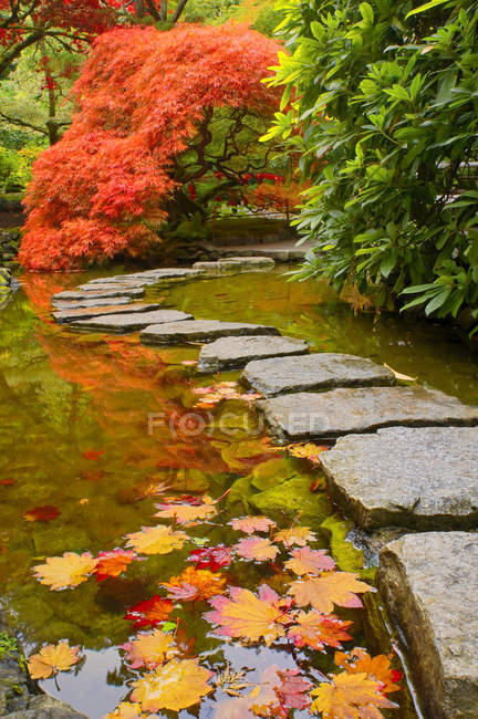 Follaje otoñal y camino a través del arroyo en Japanese Garden, Butchart Gardens, Brentwood Bay, Columbia Británica, Canadá - foto de stock