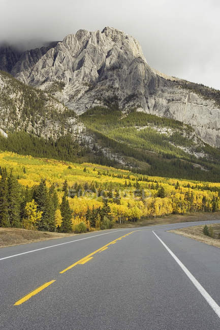 David Thompson Highway in autumnal landscape with Mount Abraham, Kootenay Plains, Alberta, Canada. — Stock Photo