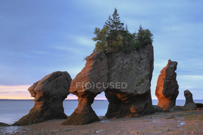 Flowerpot Rocks au lever du soleil, parc provincial Hopewell Rocks, Nouveau-Brunswick, Canada . — Photo de stock