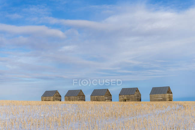 Fila di fienili in inverno, Contea di Kneehill, Alberta, Canada — Foto stock