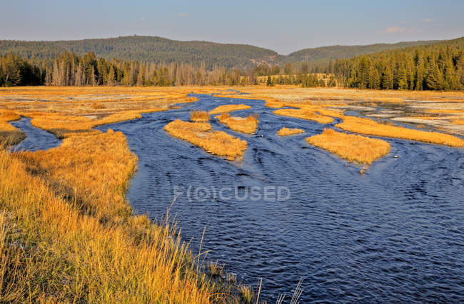 Ruisseau enchevêtré et herbe automnale à Firehole Lake Drive, parc national Yellowstone, Wyoming, États-Unis — Photo de stock