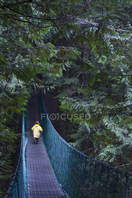 Ponte sospeso e vista posteriore del bambino sul sentiero Juan de Fuca vicino a China Beach, Victoria, British Columbia, Canada — Foto stock