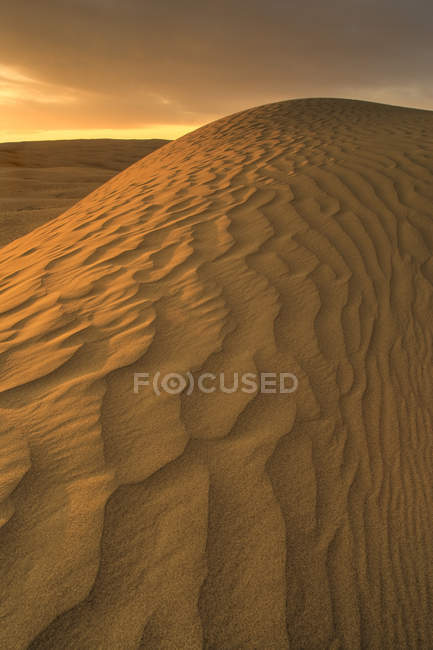 Patrón ondulado natural de dunas de arena en Great Sandhills cerca de Sceptre, Saskatchewan, Canadá . - foto de stock