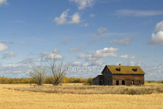 Заброшенный фермерский дом недалеко от Форт Саскачеван, Альберта, Канада — стоковое фото
