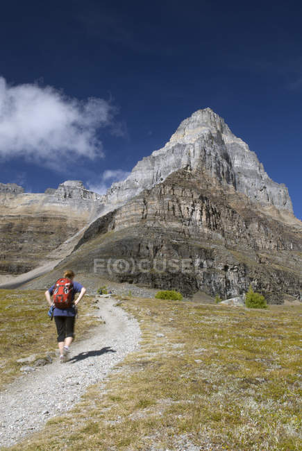 Vue arrière d'une randonneuse, sentier Larch Valley, mont Pinnacle, parc national Banff, Alberta, Canada — Photo de stock