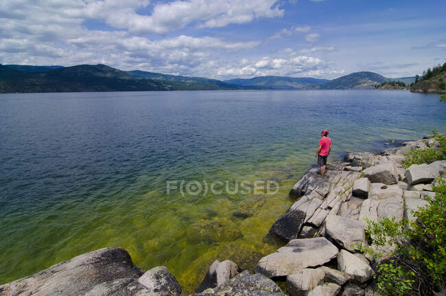 Пропитанный видом на озеро Оканаган из Провинциального парка Эллисон, недалеко от Вернона в регионе Оканаган Британской Колумбии, Канада — стоковое фото