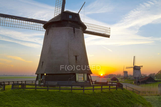 Windmühlen in ländlicher Szenerie bei Sonnenuntergang in schermerhorn, Nordholland, Niederlande — Stockfoto