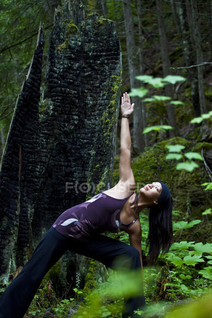 Mujer asiática practicando yoga postura triangular cerca del río Clearwater, Clearwater, Columbia Británica, Canadá - foto de stock