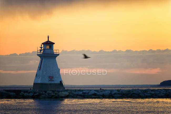 Malerischer Blick auf den Leuchtturm im Morgengrauen mit fliegendem Vogel am Eingang zu Southampton, Ontario — Stockfoto