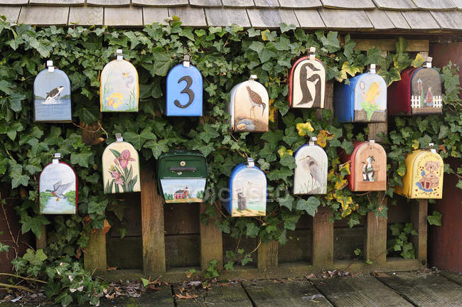 Пофарбовані поштових скриньок на листя покриті паркан, Гранвіль острова Ванкувер, Британська Колумбія, Канада — стокове фото