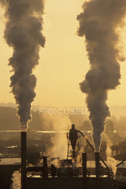Silhueta de pessoa por tubos de vapor em planta industrial, Vancouver, Colúmbia Britânica, Canadá . — Fotografia de Stock