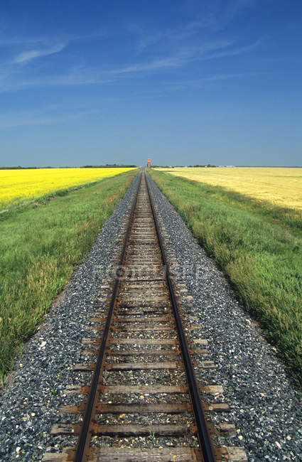 Eisenbahn durch Präriewiesen bei Carey, Manitoba, Canada. — Stockfoto
